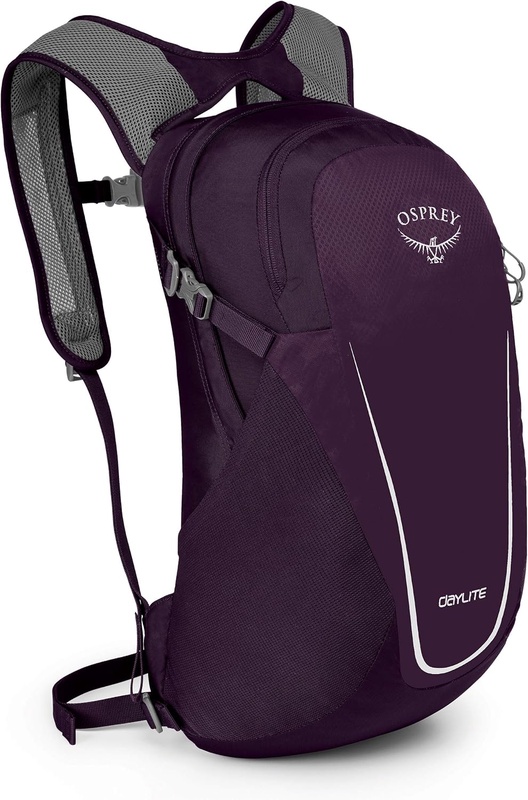 Amazon.com: Osprey Packs Daylite Daypack: Sports & Outdoors