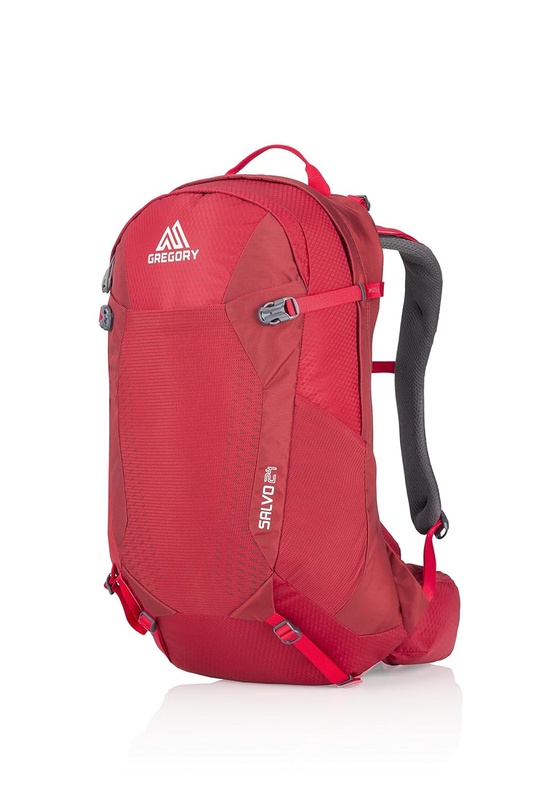 Amazon.com: Gregory Mountain Products Men's Salvo 24 Liter Backpack, Tango Red, One Size: Sports & Outdoors