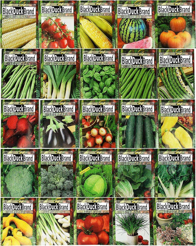 Amazon.com : Set of 25 Premium Vegetable & Herb Seeds - 25 Deluxe Variety Premium Vegetable & Herb Garden 100% Non-GMO Heirloom : Garden & Outdoor