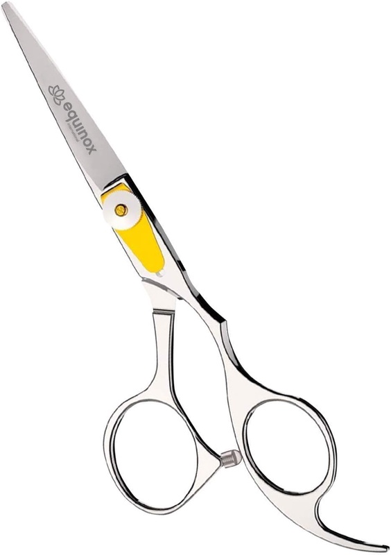 Amazon.com: Equinox Professional Hair Scissors - Hair Cutting Scissors Professional - 6.5” Overall Length - Razor Edge Barber Scissors for Men and Women - Premium Shears for Hair Cutting For Salon and Home Use : Beauty & Personal Care