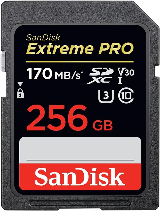 Amazon.com: SanDisk 256GB Extreme PRO SDXC UHS-I Card - C10, U3, V30, 4K UHD, SD Card - SDSDXXY-256G-GN4IN : Electronics
