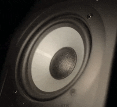 Bass GIF - Find & Share on GIPHY