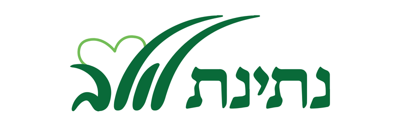 נתינת לולב