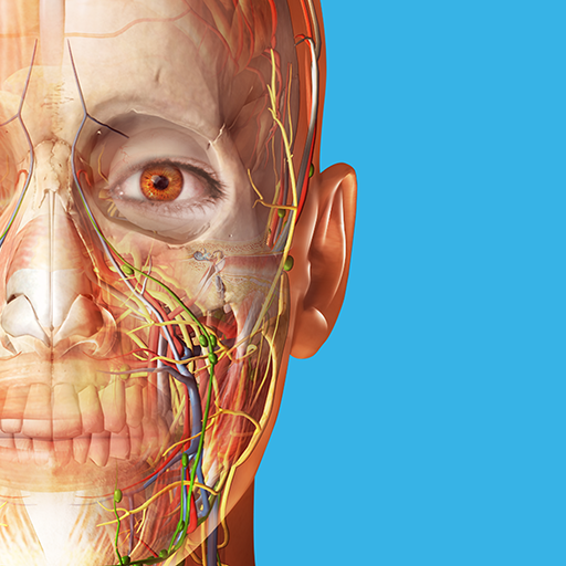 Human Anatomy Atlas 2023 - Apps on Google Play