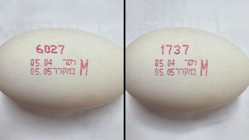 חשד לחיידקי סלמונלה בביצים: כך תדעו אם קניתם מוצר נגוע