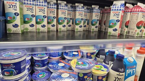 עוד מכה לצרכנים: מוצרי החלב שבפיקוח מתייקרים